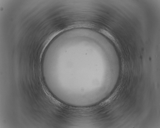 X0000067890836200605111849