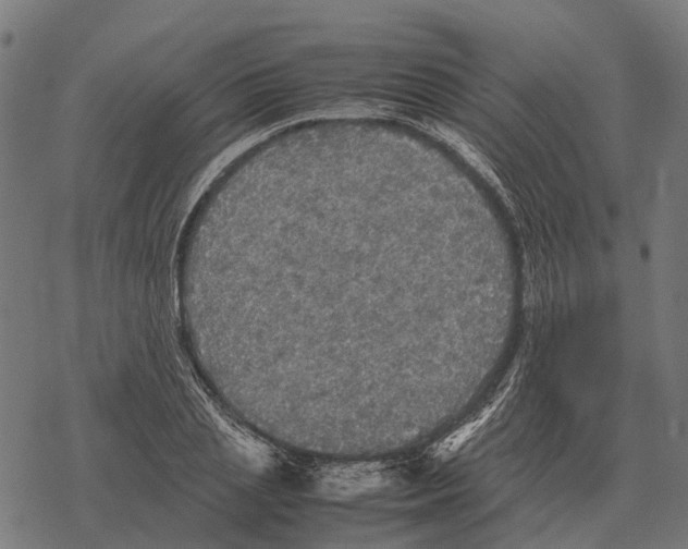 X0000067890837200605111849