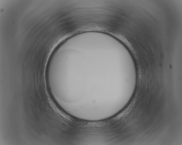 X0000067890840200605111849