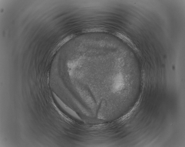 X0000067890841200605111849