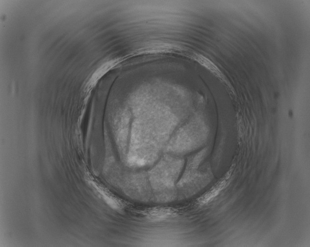 X0000067890842200605111849