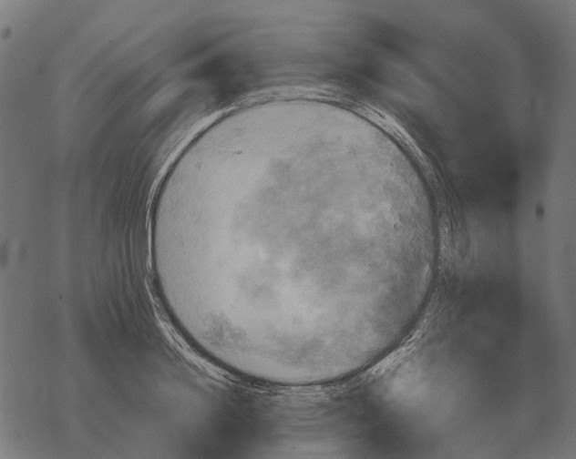 X0000067890844200605111849