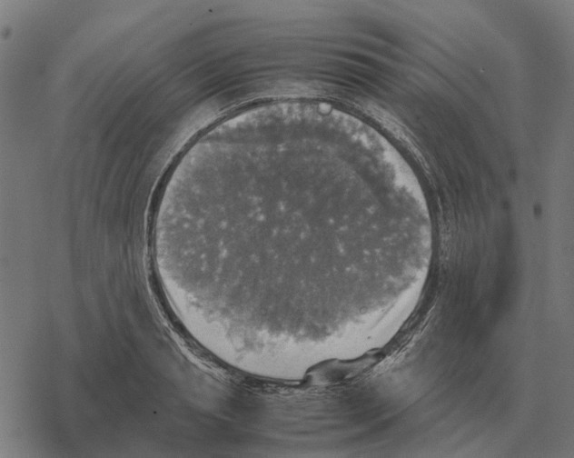 X0000067890845200605111849