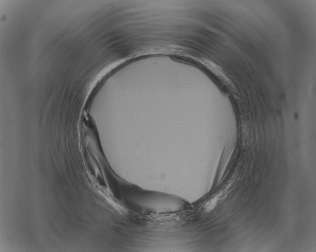 X0000067890846200605111849