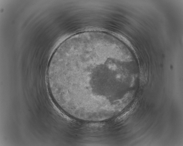 X0000067890847200605111849