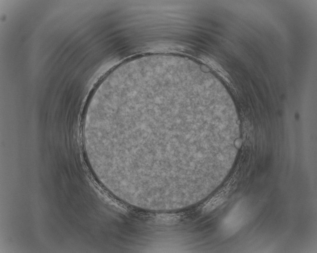 X0000067890848200605111849