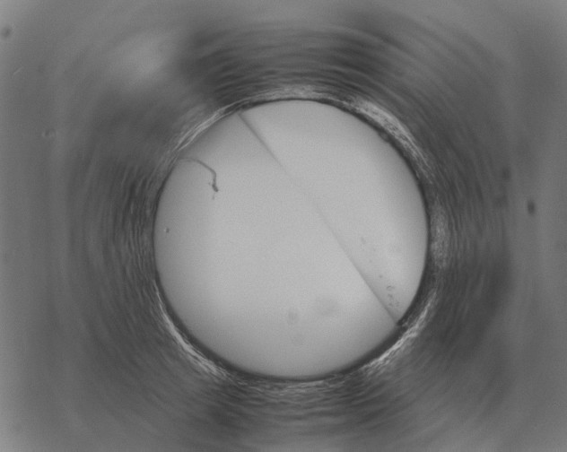 X0000067890849200605111849