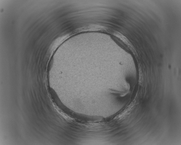 X0000067890850200605111849