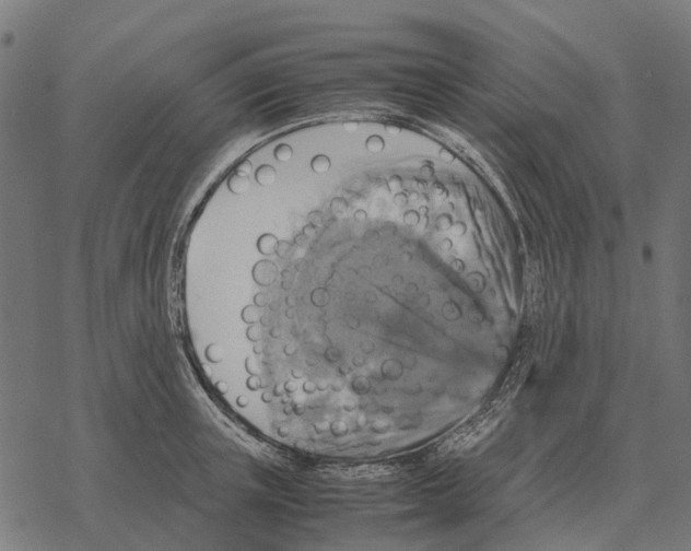 X0000067890851200605111849