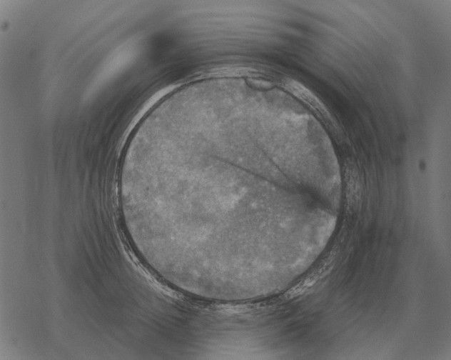 X0000067890852200605111849