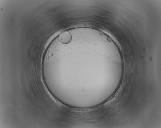 X0000067890853200605111849