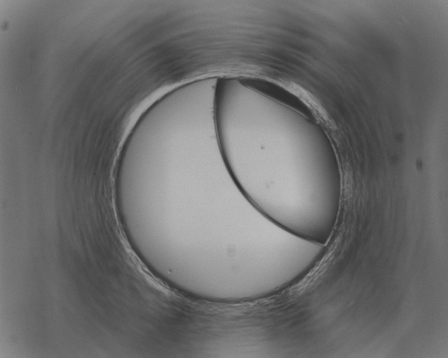 X0000067890854200605111849