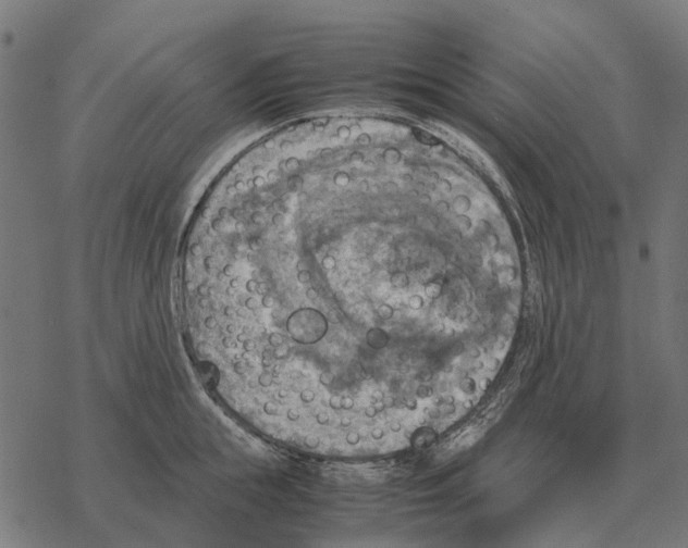 X0000067890855200605111849