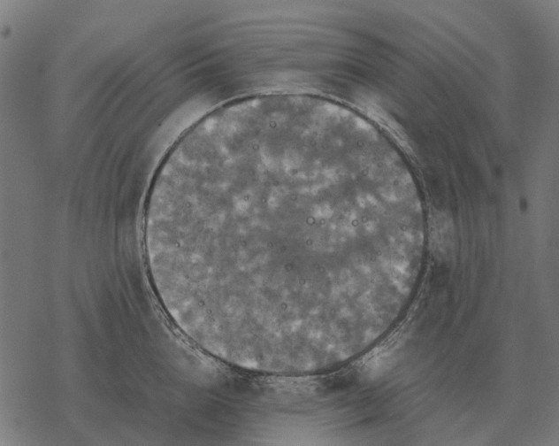 X0000067890856200605111849