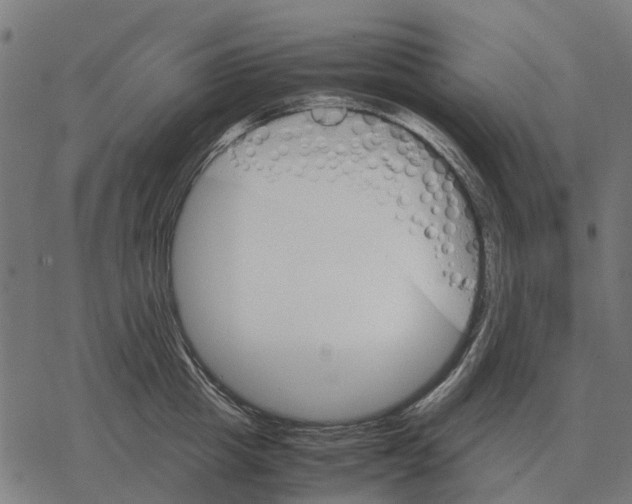 X0000067890857200605111849