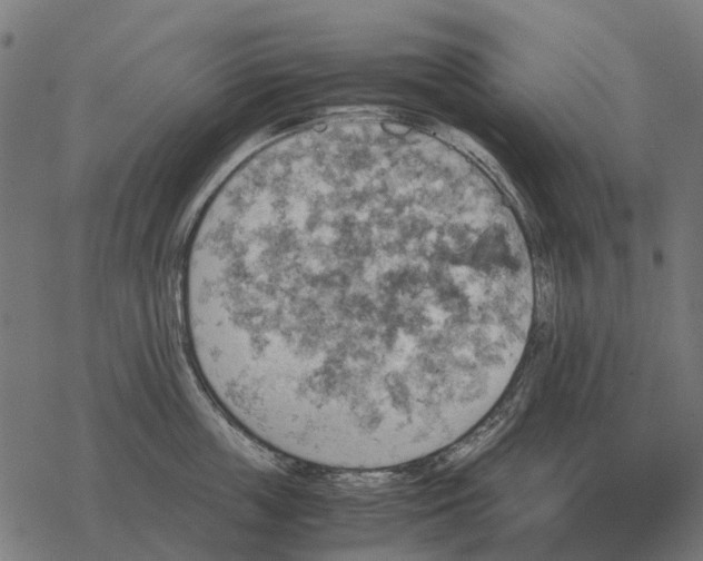 X0000067890859200605111849