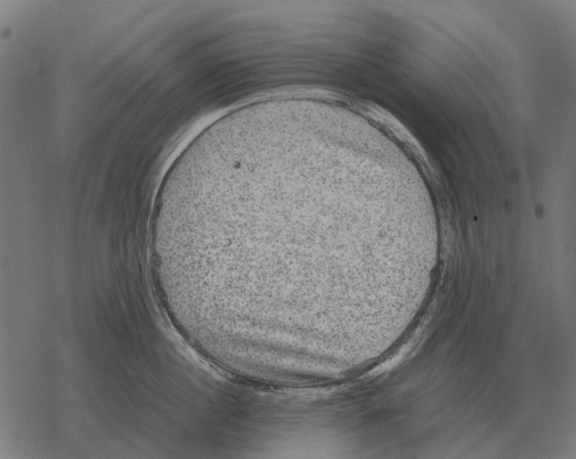 X0000067890860200605111849