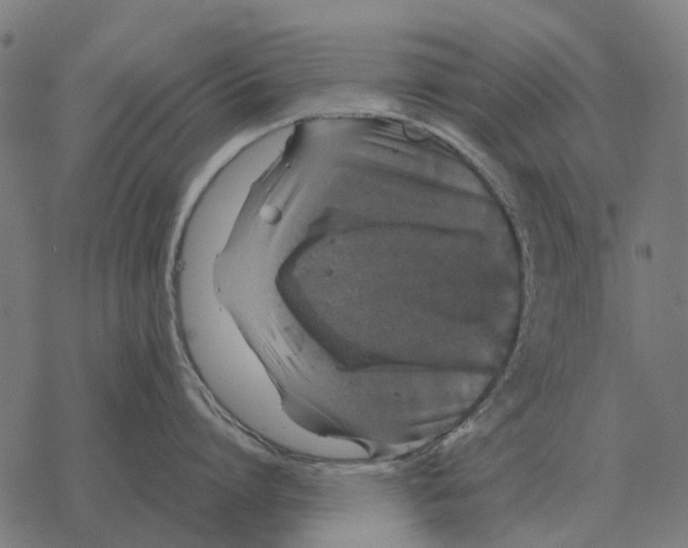 X0000067890864200605111849