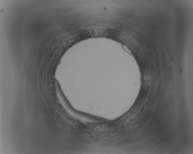 X0000067890865200605111848