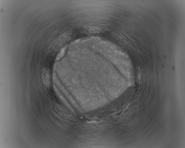 X0000067890866200605111848