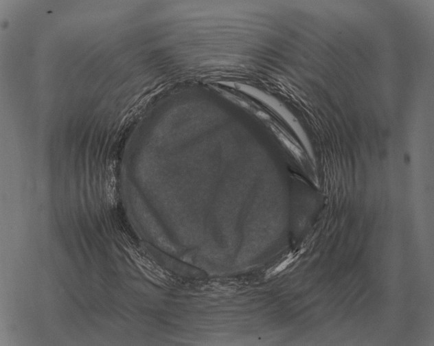 X0000067890868200605111848