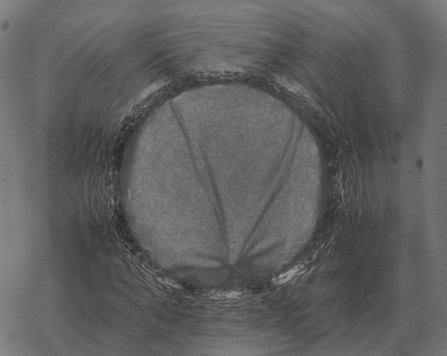 X0000067890870200605111848