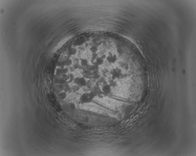 X0000067890871200605111848