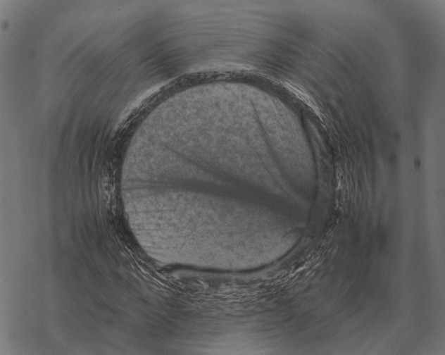 X0000067890872200605111848