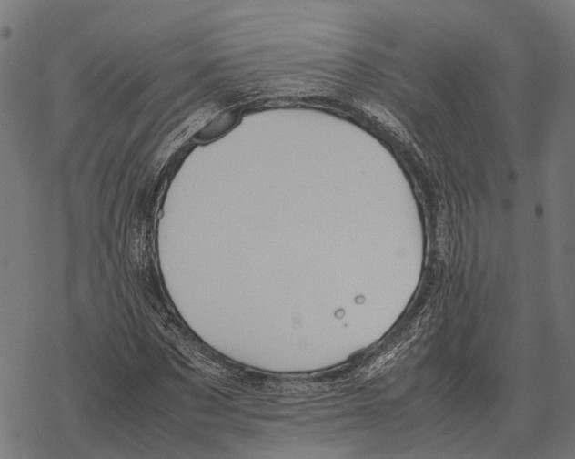 X0000067890873200605111848