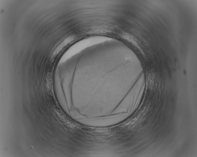 X0000067890874200605111848