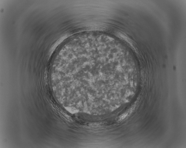 X0000067890875200605111848