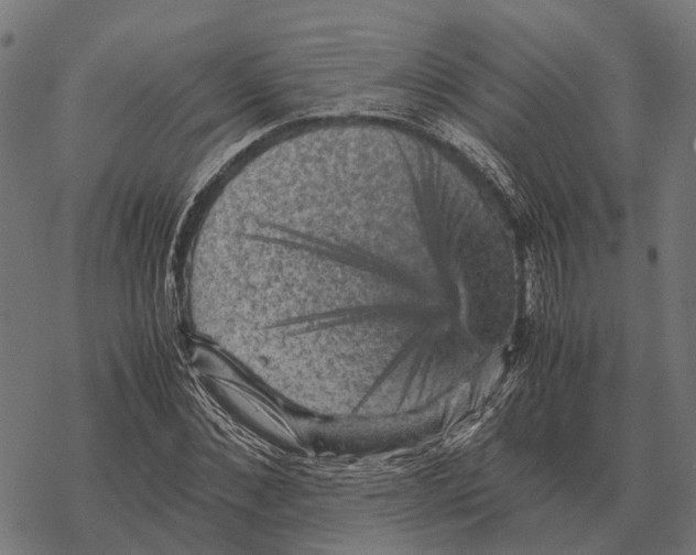 X0000067890876200605111848