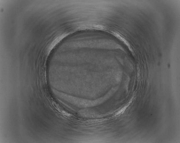 X0000067890877200605111848