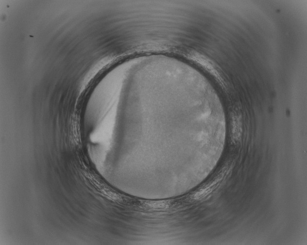 X0000067890878200605111848