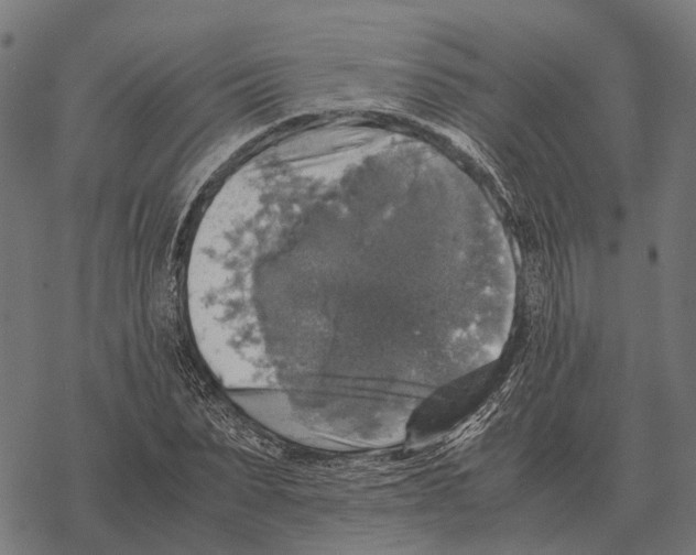 X0000067890879200605111848