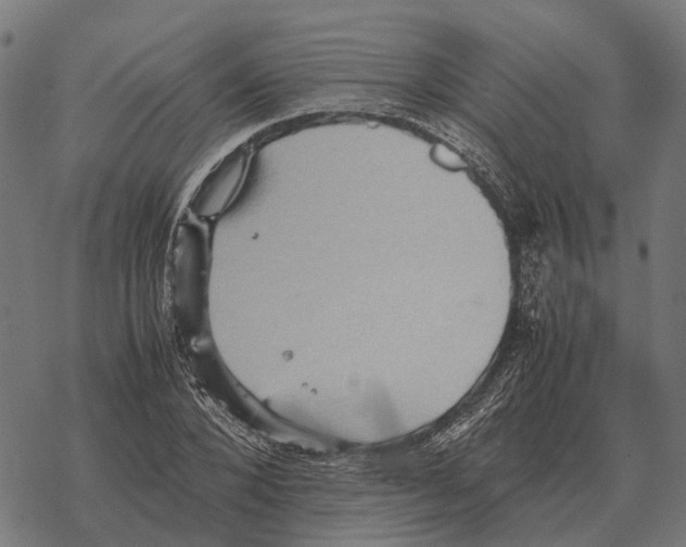 X0000067890880200605111848