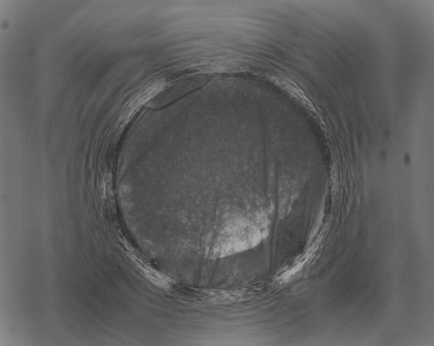 X0000067890881200605111848