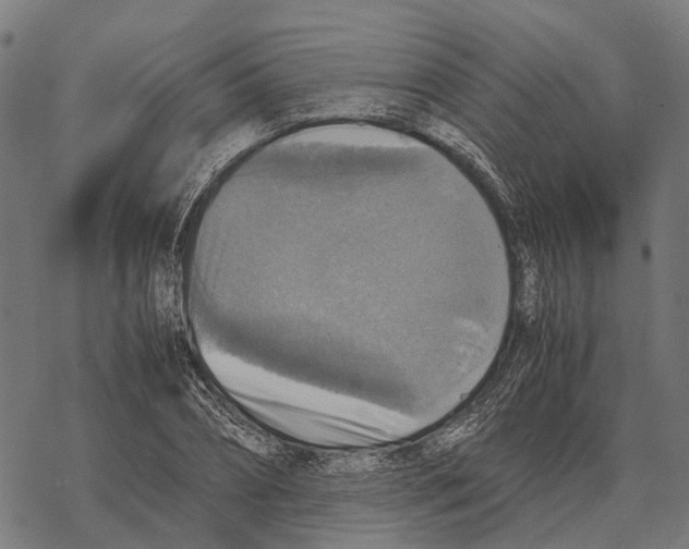 X0000067890882200605111848