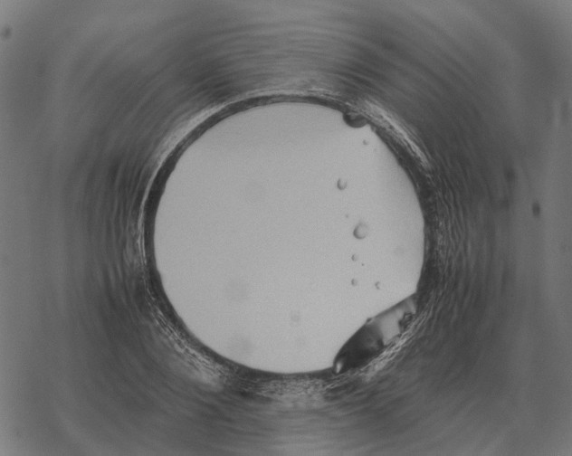 X0000067890884200605111848