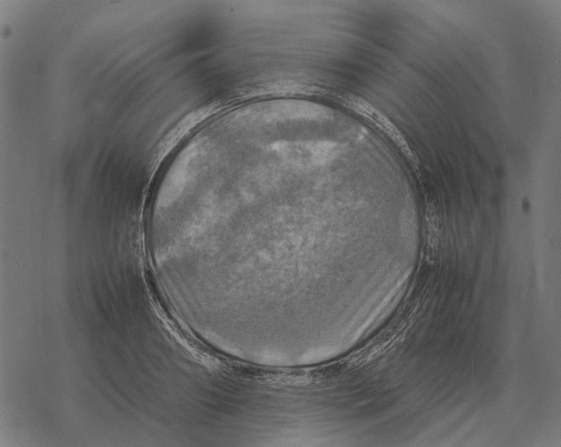 X0000067890890200605111848