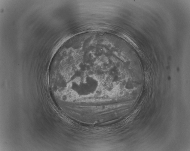 X0000067890891200605111848