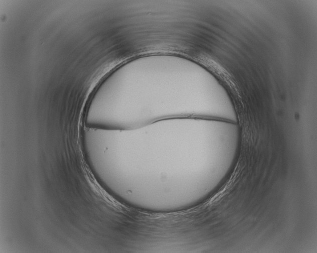 X0000067890892200605111848