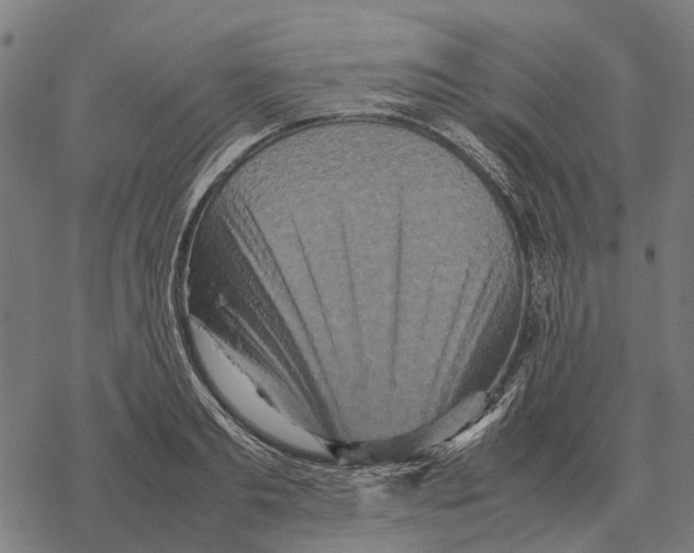 X0000067890893200605111848