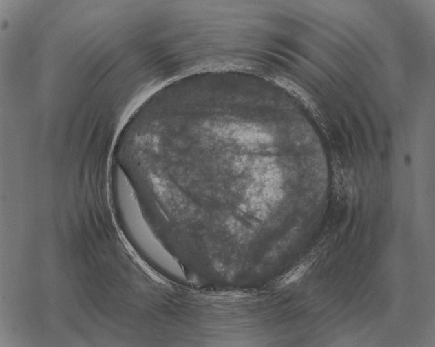 X0000067890894200605111848