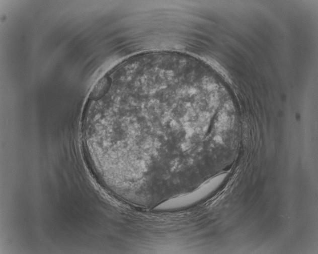 X0000067890895200605111848