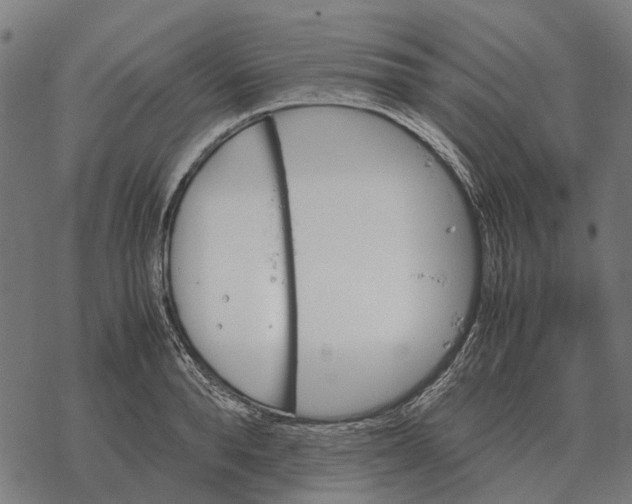 X0000067890896200605111848