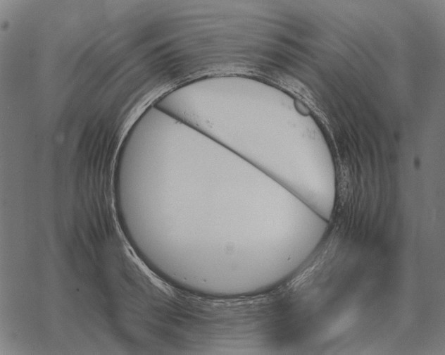 X0000067890898200605111848