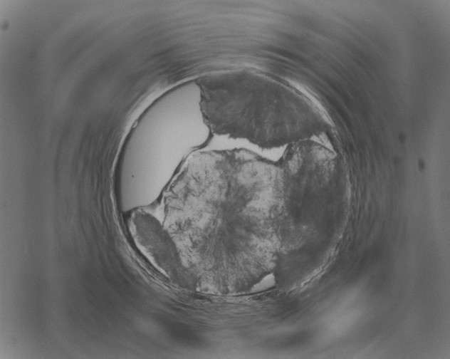 X0000067890899200605111848