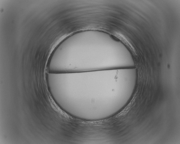 X0000067890900200605111848