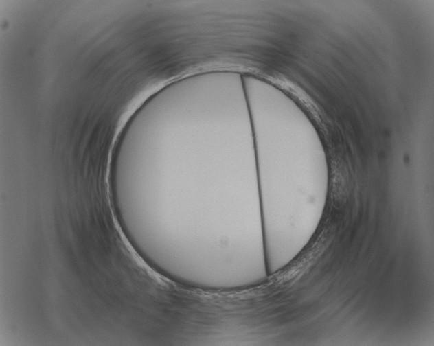 X0000067890902200605111848